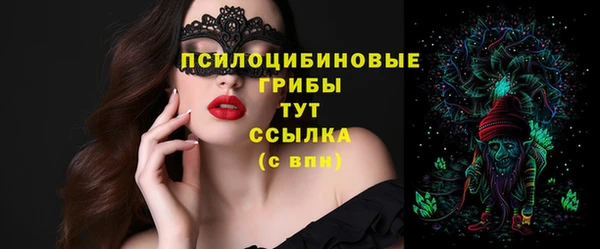 шишки Абаза