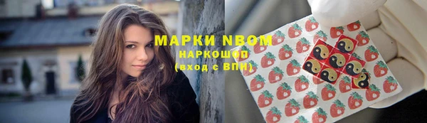 apvp Михайлов