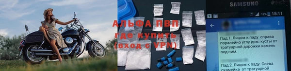 шишки Абаза