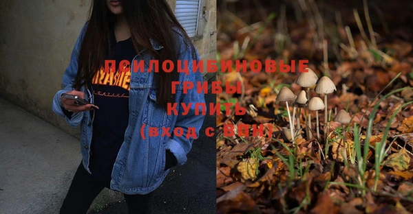мдпв Михайловка
