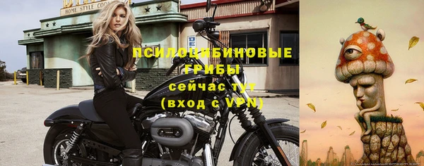 шишки Абаза