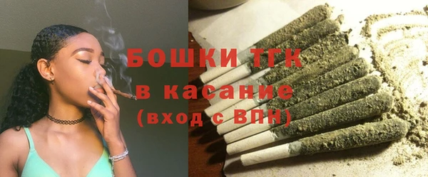 шишки Абаза