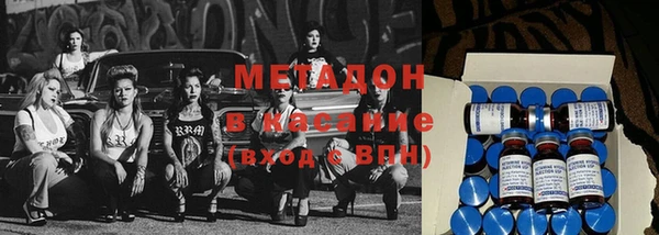 шишки Абаза