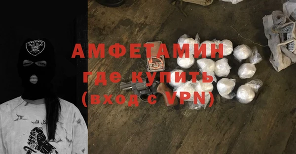 шишки Абаза