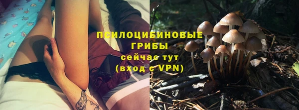 шишки Абаза