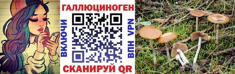 Псилоцибиновые грибы Cubensis  что такое наркотик  Темников 