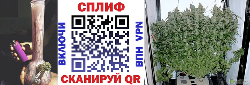 купить  цена  Темников  hydra как войти  Марихуана ГИДРОПОН 